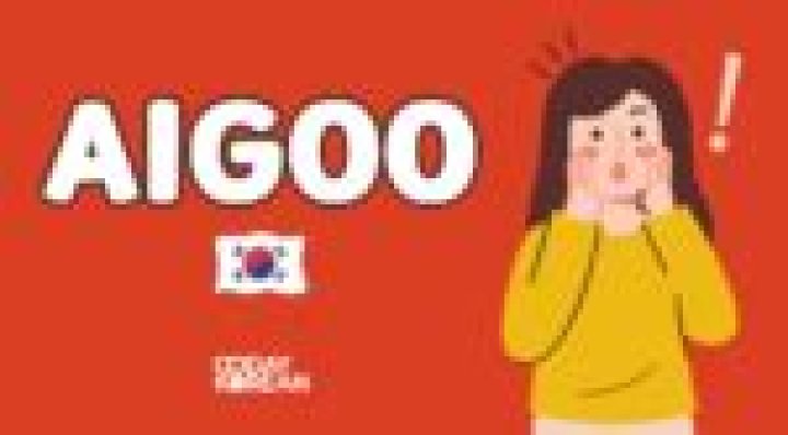 aigoo meaning