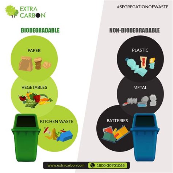 biodegradable waste examples