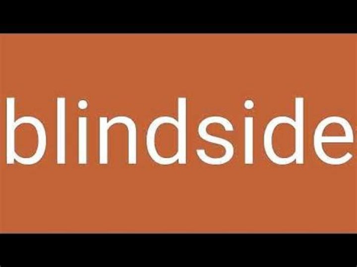 blindside meaning