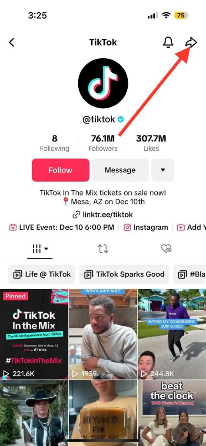 Blocking On TikTok & Profile Visibility