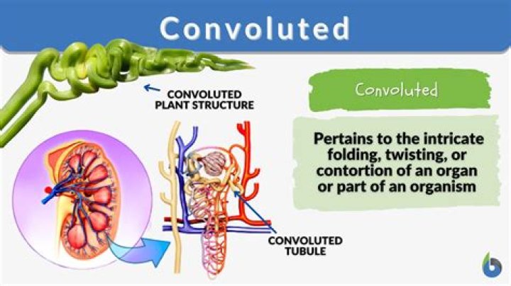 convoluted meaning