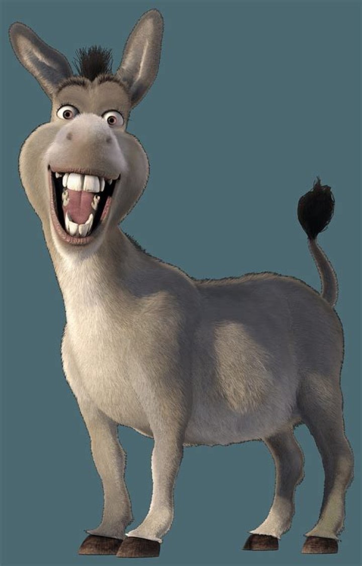donkey from shrek
