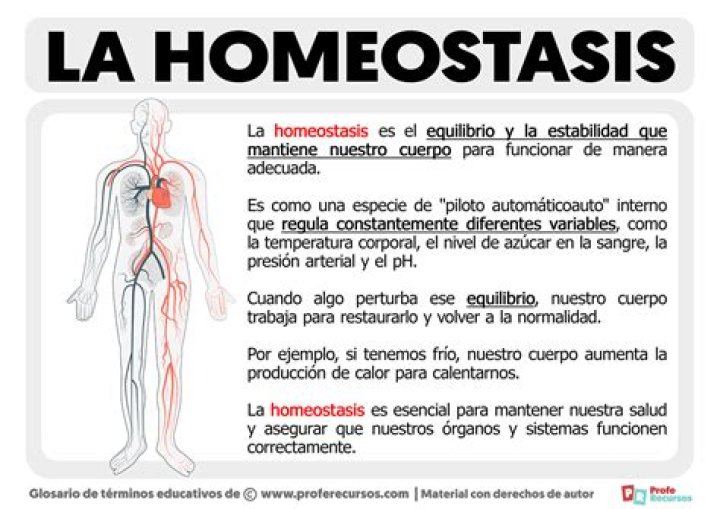 ejemplos de homeostasis