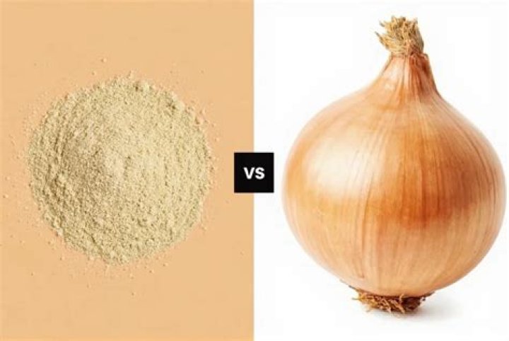 how much onion powder equals one onion
