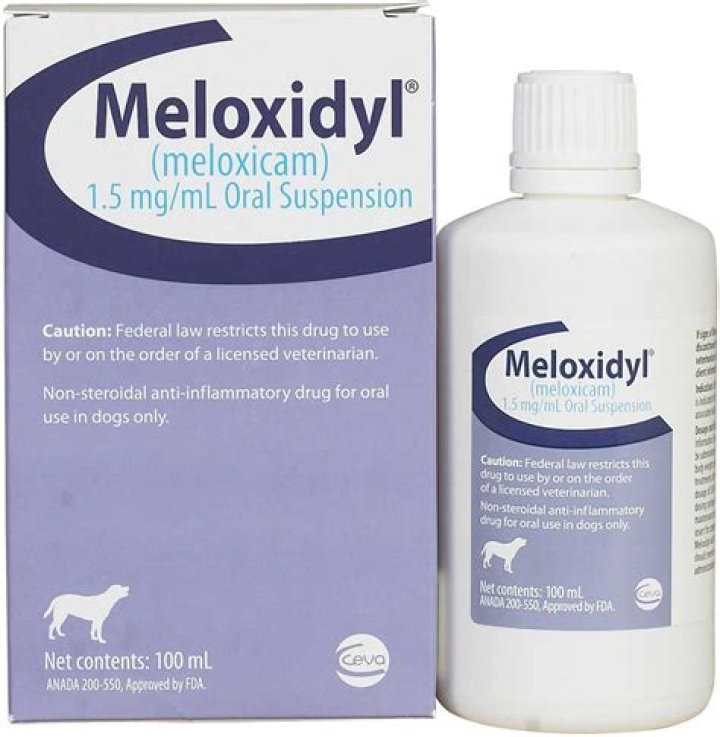 meloxidyl for dogs