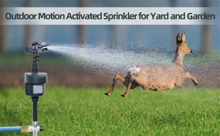 motion activated sprinkler