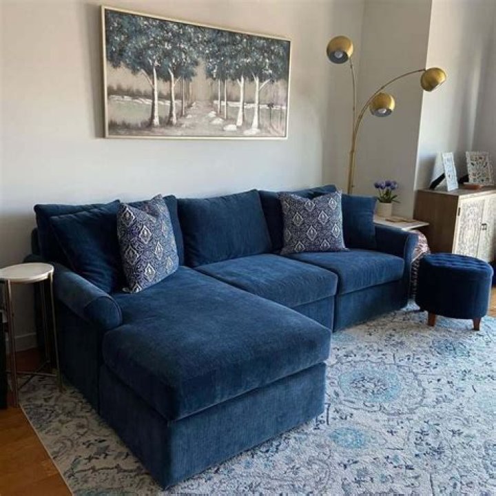 navy blue couch