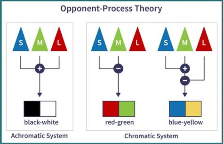 opponent process theory