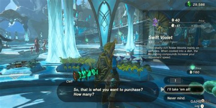 The Ultimate Guide To Finding A Swift Husband