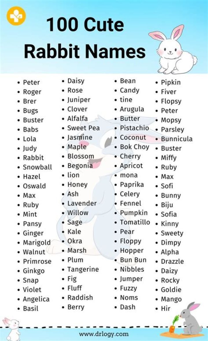 The Ultimate Guide To Finding The Cutest Bunny Names