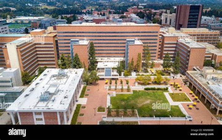 ucla medical school