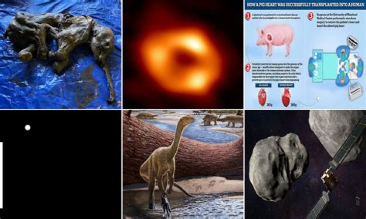 Unveiling Huguette Mallette: Discoveries And Insights Revealed