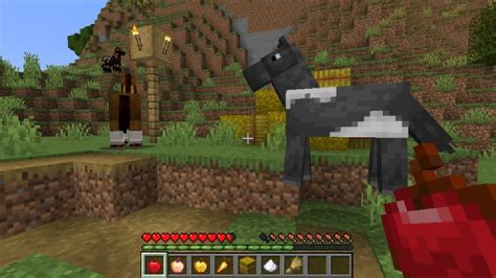 what do horses eat in minecraft