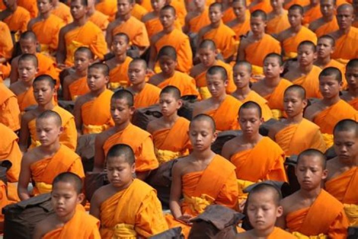 what is a monk
