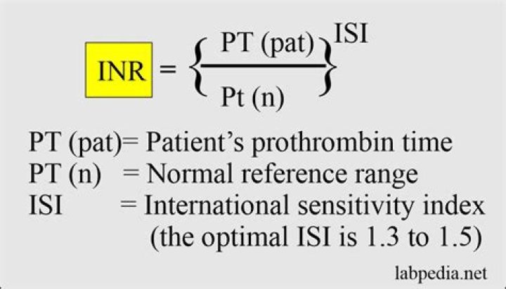 what is inr